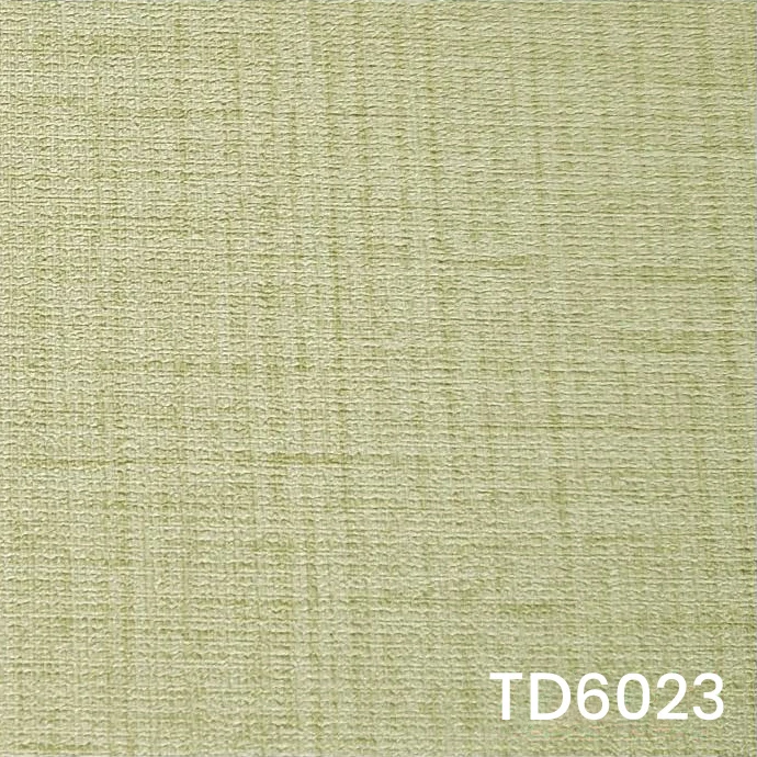 TD6023